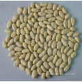 Noyau d&#39;arachide blanchi compétitif (25/29)